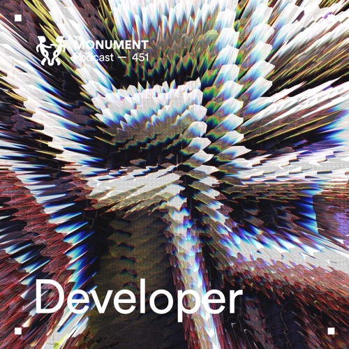 MNMT 451 : Developer