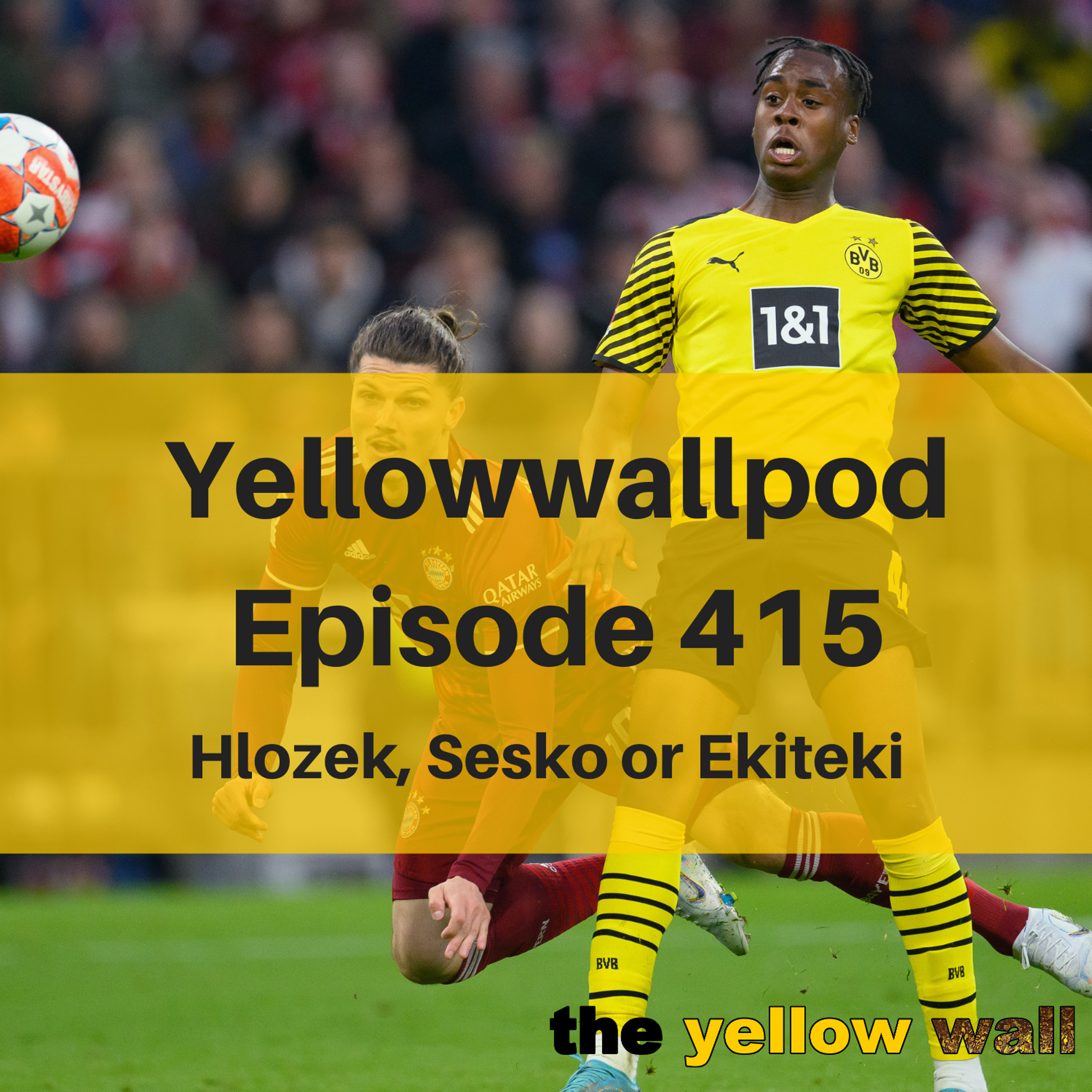 Yellowwallpod