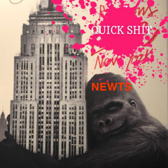 NEWTS - QUICK SHIT
