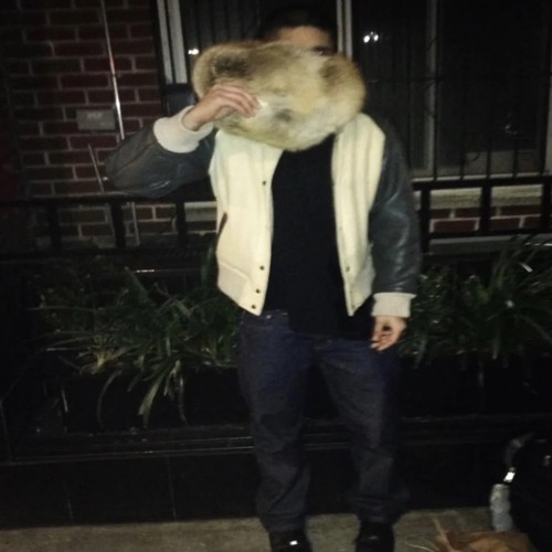 Fakemink - Fever (No Buckshot)