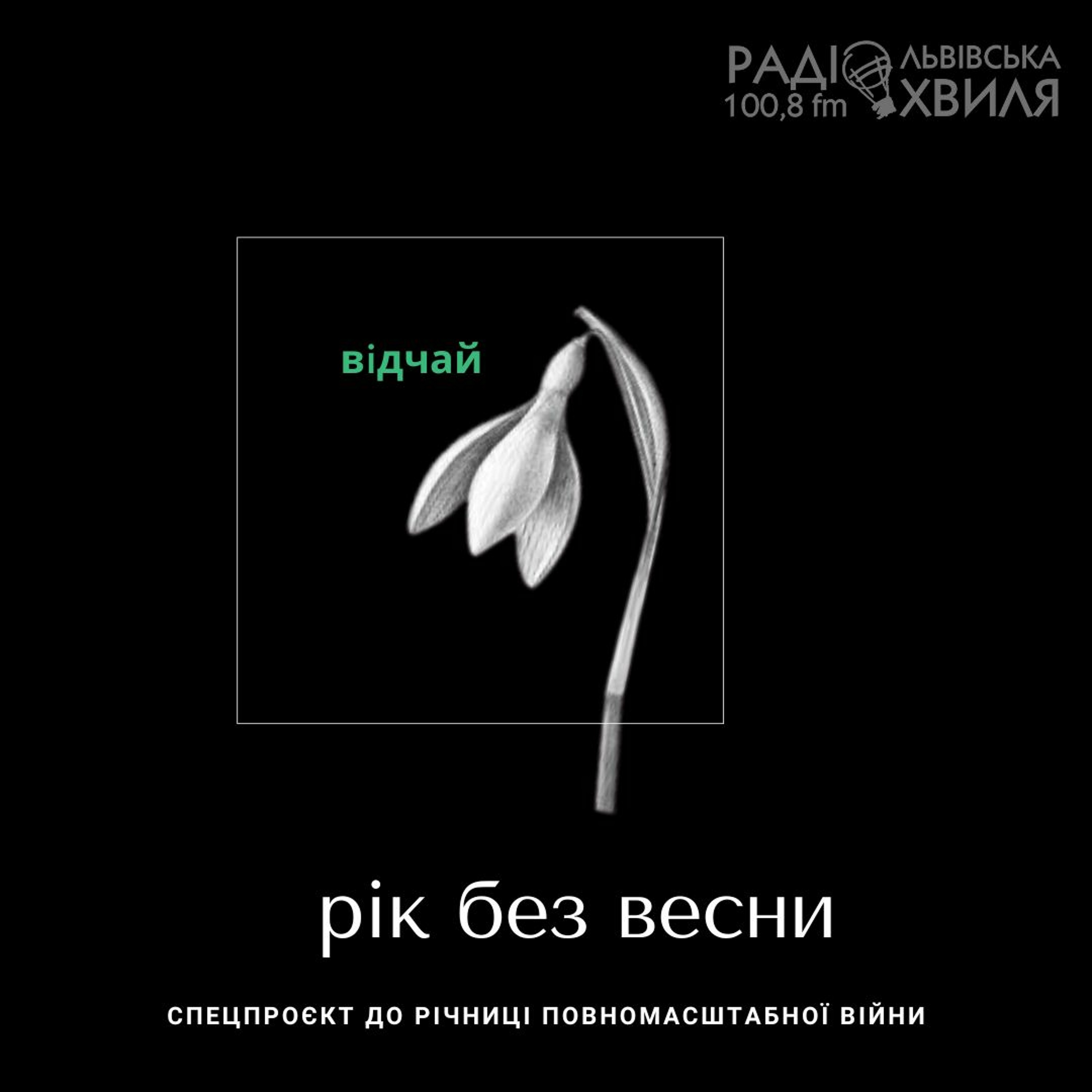Рік без весни // ВІДЧАЙ // спецпроєкт до річниці повномасштабного вторгнення episode artwork