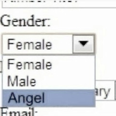 angel vomit