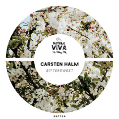 Carsten Halm - Culture (Original mix)