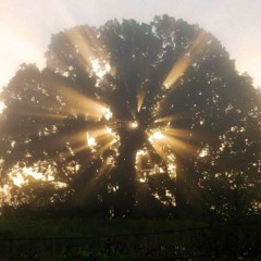 ether (super slowed)