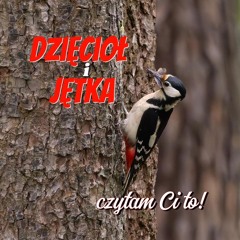 Dzięcioł i jętka - rymowana bajka dla dzieci i dorosłych