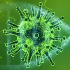 Virus Funk