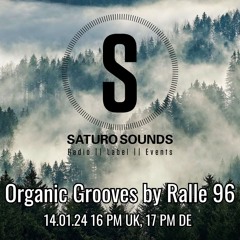 Organic Grooves by Ralle 96, 14.01.2025