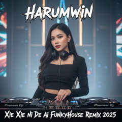 流行4度c - 谢谢你的爱 (Xie Xie Ni De Ai) FunkyHouse Remix 2025 | Slot777 Harumwin