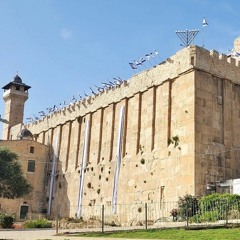 Yishai Fleisher Show: The Liberation Continues