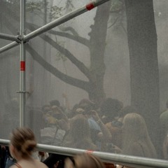 Live at Transit Festival 2024