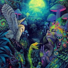 DJ SOPHIA AMARE - Hypnotique Recordings - USA : May 2023 (Forest Psychedelic Trance)