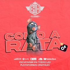 DJ CHARDS - COMO A RATA (Primero que todo ESA MUJER ES MALA, Segundo YA FUE MÍA)