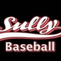 A Happy New Year Sully Baseball Message