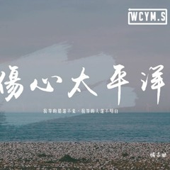 範茹 - 傷心太平洋 (女版)「我等的船還不來，我等的人還不明白」【動態歌詞/pīn yīn gē cí】