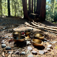 Himalayan Singing Bowls Under the Redwoods