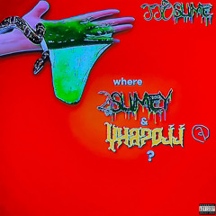 SsoSlime ft YhapoJJ (bwkds+Ktp) [MV description]