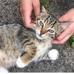 ALEX G - BE KIND (INSTRUMENTAL COVER)