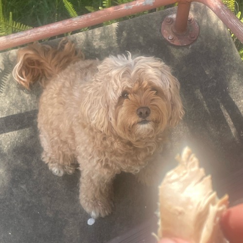 Rolly minimal dark techno. Nobby's beach Oct' 25