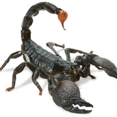 MixTape_EXX_by_FDS_09_10_2025