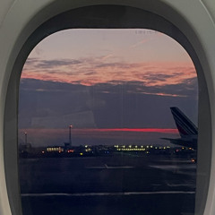 Cranes in the Sky SOLANGE - isolina