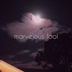 Marvelous Fool Prod. EricGodlow