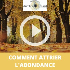 Comment Attirer L'abondance - Aurélien Renard Coach PNL