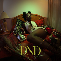 DND (feat. Rudy Ray Kwaku)
