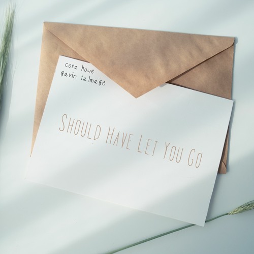 Should Have Let You Go (with Cora Howe) (Prod. Nightwave)