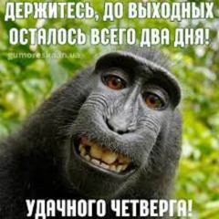 хуета на ск