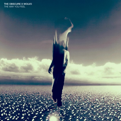 Stream Wolvo Listen to Electronic Songs Playlist playlist online for