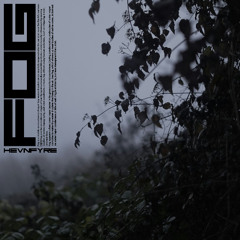 HEVNFYRE - FOG