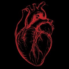 LOVE PARADISE - DJ DUCTRIEU