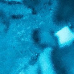 #480 frostbitten