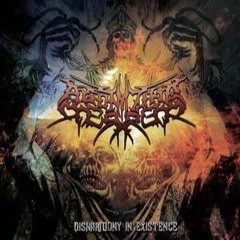 Agonizing Terror - Disharmony In Existence