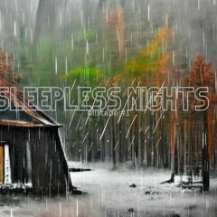 Rainy Day Delight: Chill House Music Experience | sleeplessnights mixtape #1