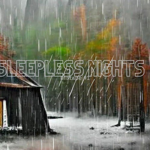 Rainy Day Delight: Chill House Music Experience | sleeplessnights mixtape #1