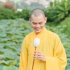 Vu Lan Hoa Hồng Cài Áo