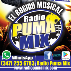 Stream Dj Puma Mix Fredy Hernandez music | Listen to songs, albums,  playlists for free on SoundCloud