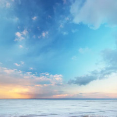 did it (Herman C.) [prod. tylo]