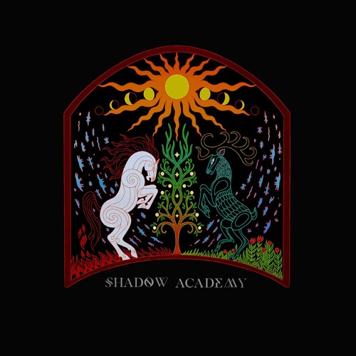 Cast No Shadow - Shadow Academy