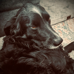 Mr. Futures Prayer- Feat. Lucy (Acoustic)