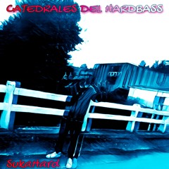 OLD SUKAHARD - CATEDRALES DEL HARDBASS -  (2K22)