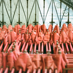 The Early Bird Show w/ PAM 201125