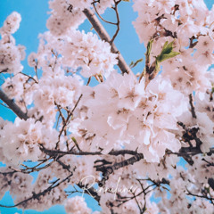 Hanya Untukmu by Raihan Khairunnisa (Runnilune)