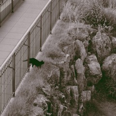 매미는 비가 와도 운다 Acoustic - 2023. 6. 26. 오전 12.11