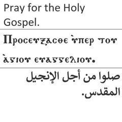 Pray for the Holy Gospel