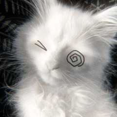 true intentions / 2facehoe