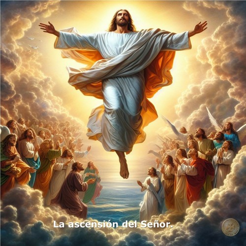Stream Santo Rosario Misterios Gloriosos Miercoles Y Domingo By Asr Agrupación Santorosario Stream Santo Rosario Misterios Gloriosos Miercoles Y Domingo By Asr Agrupación Santorosario
