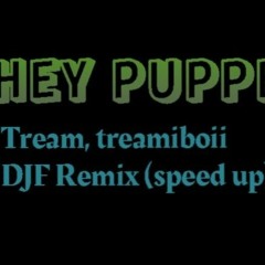 Tream, treamiboii Hey Puppe DJF Remix