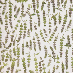 tulsi (feat. sweater weather)